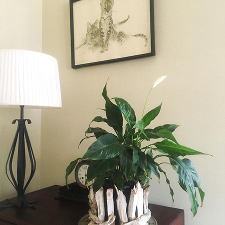 Panache Wildlife Cottage-Self Catering Hoedspruit Exteriör bild